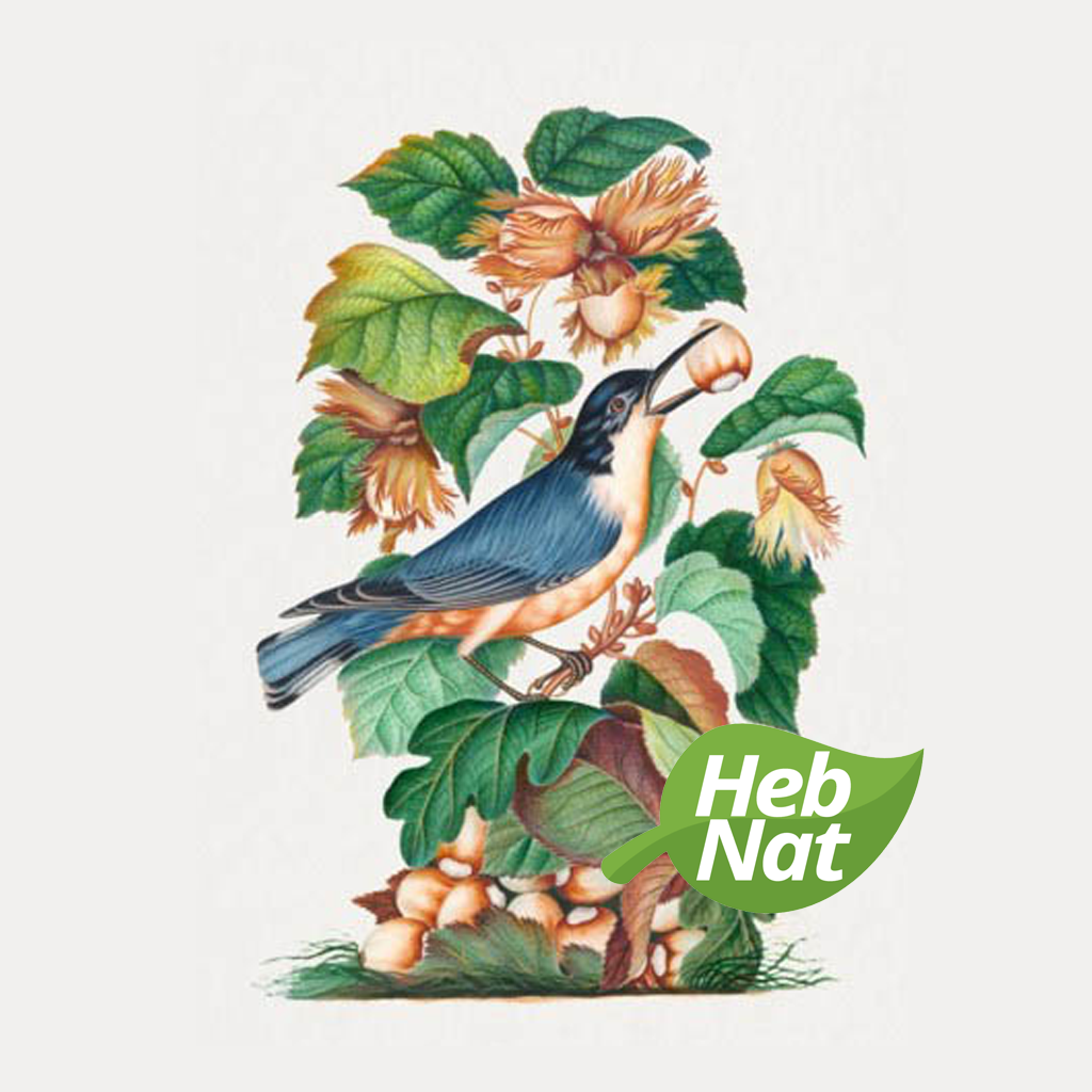 The Early Naturalists